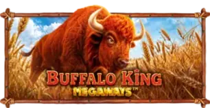 ภาพเกม Buffalo King Megaways ที่ show96 รวบรวมไว้